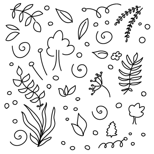 Doodle of autumn leaves and flowers. vector art. Vector illustration - Vector, Image