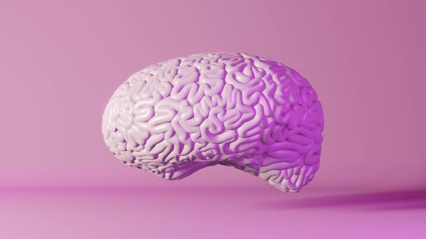Human brain health neon light pink background 3d animation. Creative idea Artificial intelligence Positive thinking emotion Mental health.Memory improvement Mindfulness Education Cognitive development - Footage, Video