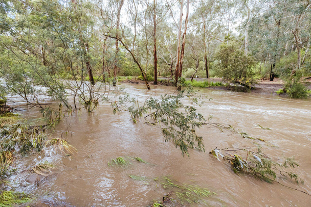 MELBOURNE, AUSTRALIA - 14 DE OCTUBRE: Darebin Parklands se inundó fuertemente el 14 de octubre de 2022 en Victoria, Australia. Patrón meteorológico de La Nina que contribuye a niveles récord de precipitaciones en Victoria. - Foto, Imagen