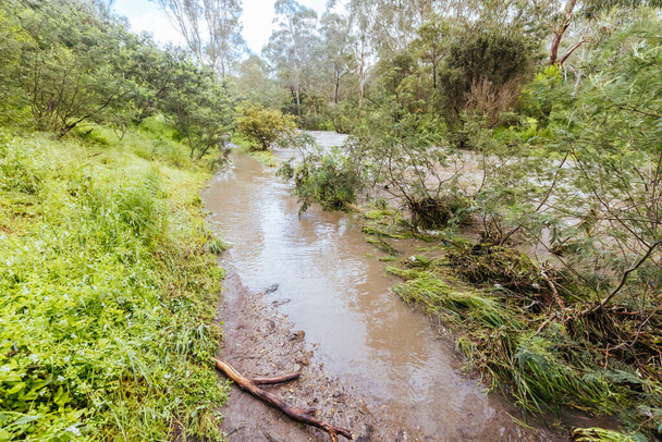 MELBOURNE, AUSTRALIA - PAŹDZIERNIK 14: Darebin Parklands mocno zalany 14 października 2022 roku w Victorii w Australii. La Nina wzór pogody przyczyniający się do rekordowego poziomu opadów w mieście Victoria. - Zdjęcie, obraz