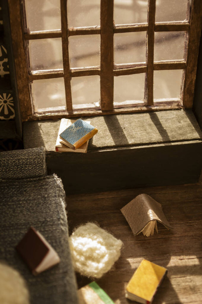 Pokojová schránka je vnitřní pohled na roztroušené knihy a agno. interiér miniaturního domu. Dům pro panenku jsou roztroušené knihy. - Fotografie, Obrázek
