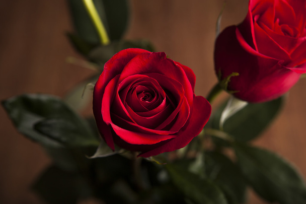 ramo de rosas sobre un fondo de madera - Foto, Imagen