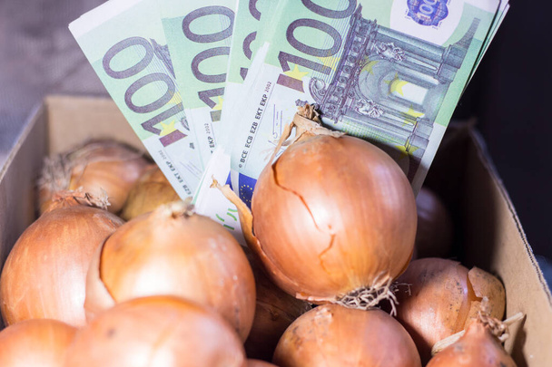 Geldscheine auf Zwiebeln. Steigende Preise für Produkte in der Ukraine aufgrund des Krieges - Foto, Bild