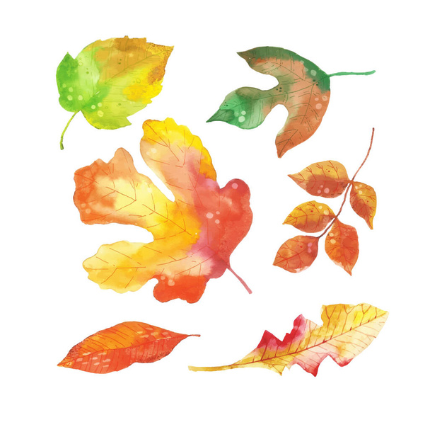 Коллекция акварельных осенних листьев
 - Вектор,изображение