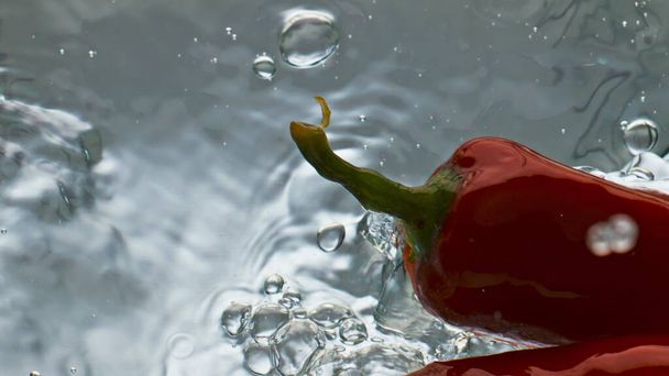 Крупный план горячий перец плавающий отскакивая поверхность воды. Пряный кулинарный ингредиент брызгает жидкость на светлом фоне. Красивая красная паприка с чили. Приготовление вегетарианского здорового салата. - Фото, изображение