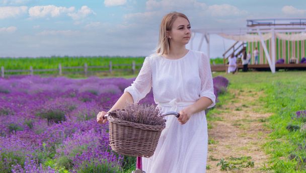 the girl is resting in the lavender field. selective focus - Fotografie, Obrázek