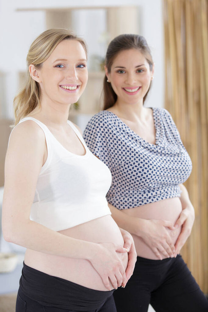 two pregnant women showing their bellies - Фото, зображення