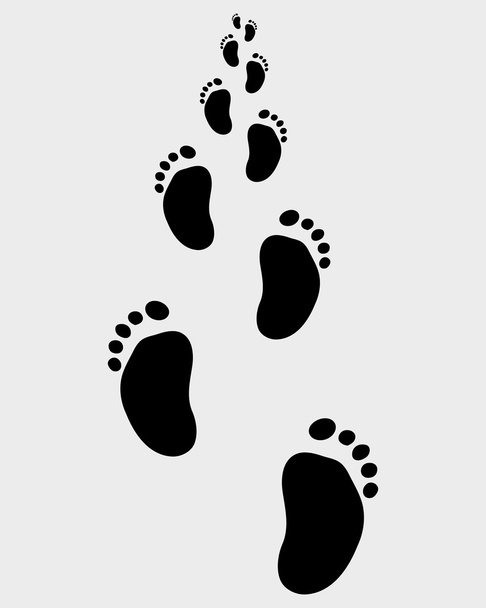 Baby feet - Vector, Image