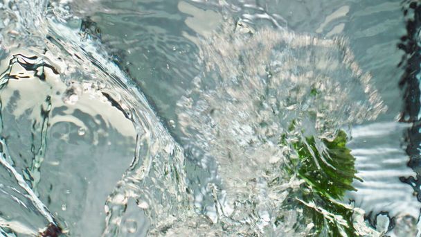新鮮なキュウリの滝の水を閉じます。有機庭の野菜を洗うスプラッシュ透明な液体の上からの眺め。美しい生の季節の野菜の商業的なショット.ビタミンの低カロリー食品の概念を調理. - 写真・画像