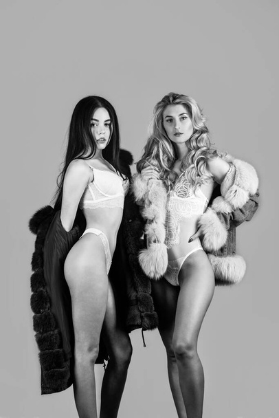 Sexy glamor girls in erotic lace lingerie wear luxury winter fur coats grey background, glamour. - Foto, Imagen