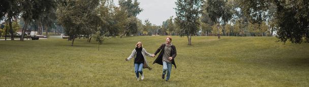 full length of happy man and pleased woman in coats holding hands while running on grass, banner - Foto, Bild