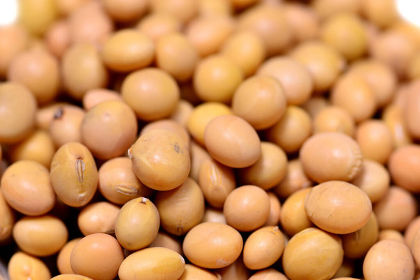 Chinese yellow soybeans in a closeup - Photo, Image