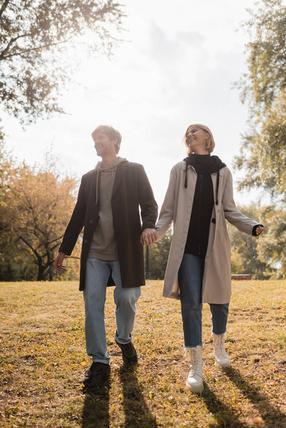 full length of young and happy couple holding hands while walking in autumnal park  - Foto, Bild