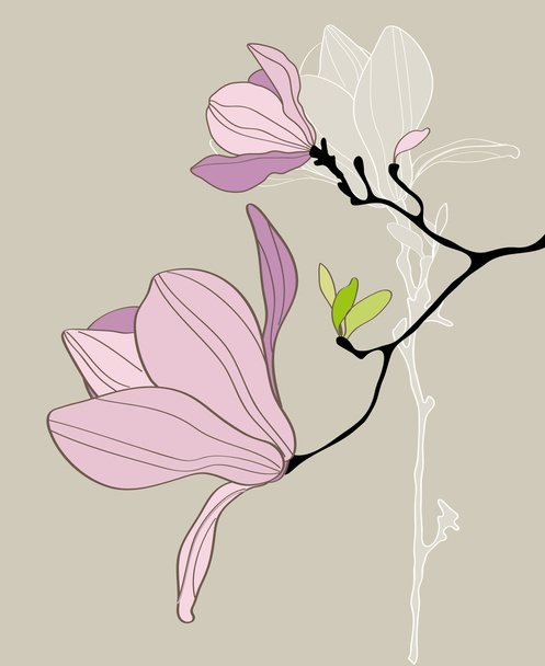 κάρτα με τυποποιημένο magnolia - Διάνυσμα, εικόνα