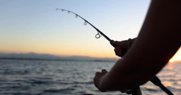 La femme au coucher du soleil attrape des poissons dans la mer, mains gros plan. Loisirs féminins relaxants, belle faune - Séquence, vidéo