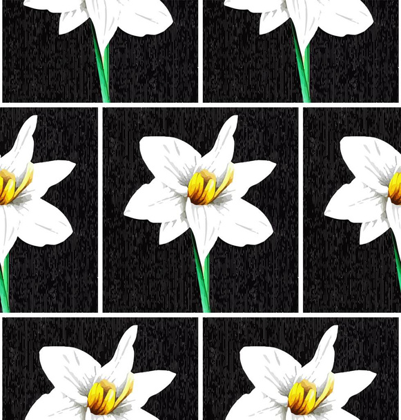 Patrón sin costuras de flores de narciso, ilustración botánica - Vector, Imagen