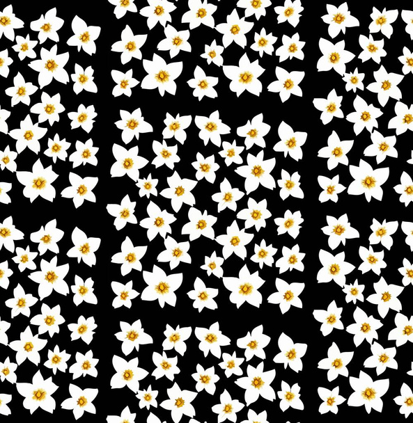 Patrón sin costura de flor de narciso, ilustración botánica - Vector, Imagen