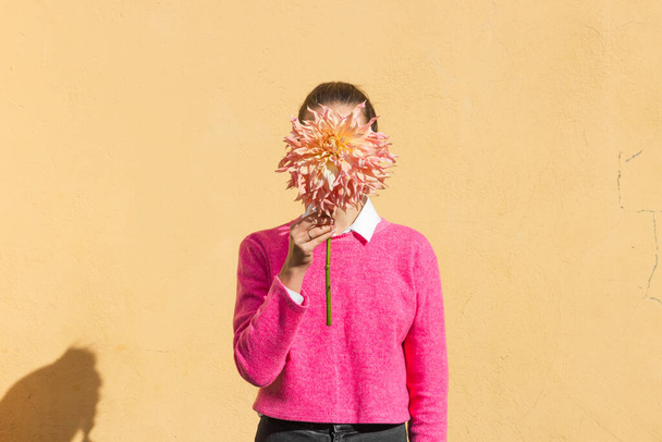 Young woman in pink shirt covers her face with a beautiful Dahlia Watermelon flower, yellow wall background. Florist holding single pink autumn flower and hiding behind it. Creative minimalism. - Foto, Imagem