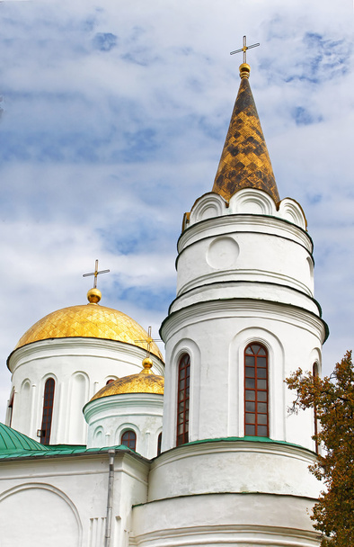 Domes of Transfiguration Cathedral in Chernigov, Ukraine - Zdjęcie, obraz