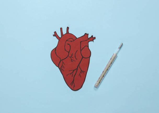 Diagnose und Behandlung von Herz-Kreislauf-Erkrankungen. Anatomischer Papierschnitt Herz auf blauem Hintergrund. Ansicht von oben - Foto, Bild