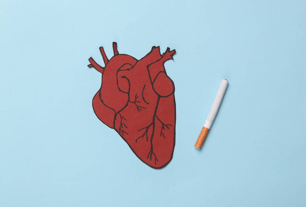 Harm of smoking for the heart. Anatomical heart with cigarette on blue background - 写真・画像