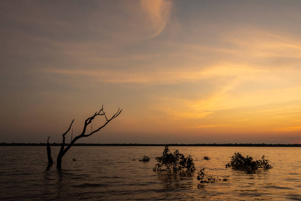 Beautiful view to sunrise over Negro River in the brazilian Amazon, Amazonas State, Brazil - Foto, immagini