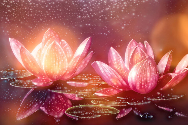 Schöne Lotusblume auf abstraktem Hintergrund.. Blume im See. - Foto, Bild