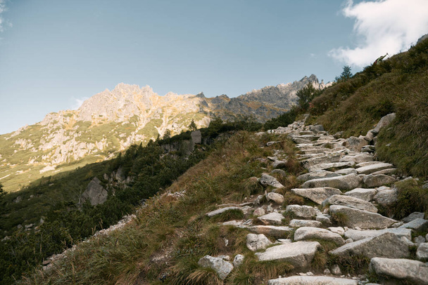 Bella strada in montagna. Sentiero escursionistico sui monti Tatra in Polonia, Europa. Il sentiero in pietra per salire fino alla cima della montagna. - Foto, immagini