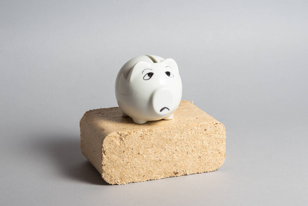 Wood Briquettes for heating, and sad piggy bank, fuel crisis - Photo, Image