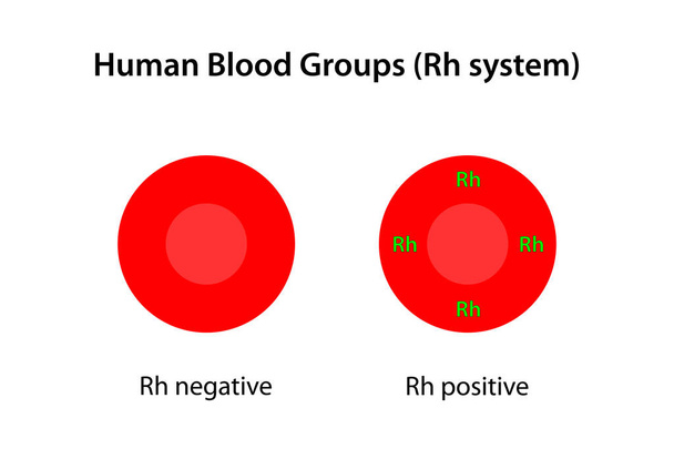 Human blood groups, Rh system. - Photo, Image