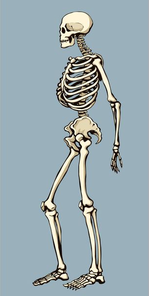 古代の健康大人の男性の図椎骨繊維要素は、白いテキスト空間に立っている。概要黒描かれた古い顔の部分オルガンオブジェクトのロゴの記号エンブレムスケッチレトロ古代美術版画スタイルサイドビュー - ベクター画像