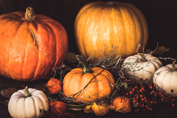 Pumpkins of different sizes and colors with autumn decorations - Foto, imagen