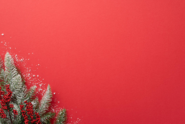 Concetto di celebrazione di Capodanno. Foto vista dall'alto di ramo di abete rosso in neve e bacche di vischio su sfondo rosso isolato con copyspace - Foto, immagini