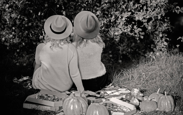 Dos chicas rubias en un picnic, damas concepto de amor amistad de la relación. Amigos estilo de vida - Foto, Imagen