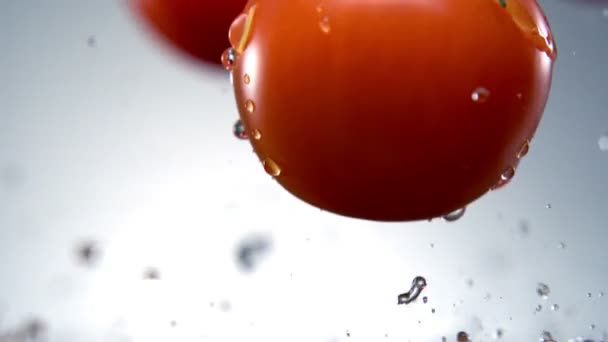 Splash Water σχετικά με ντομάτα - Πλάνα, βίντεο