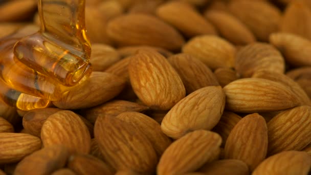 Honey on almond and nuts - Footage, Video