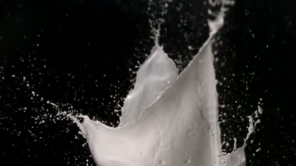 Weiße Farbe spritzt in die Luft - Filmmaterial, Video