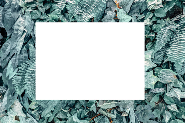モックアップ。空白の白い水平広告看板、看板、ポスター、植物の情報ボードは壁の背景を残します. - 写真・画像