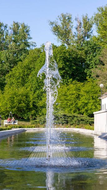 bella fontana nel parco della città - Foto, immagini