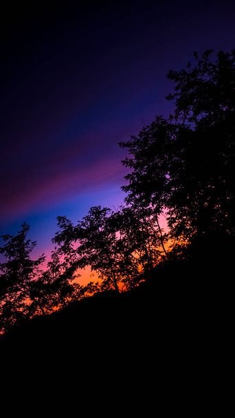 Cielo colorato paesaggio al tramonto, alberi nella notte, foto natura fantastica, cielo viola e arancio - Foto, Imagen