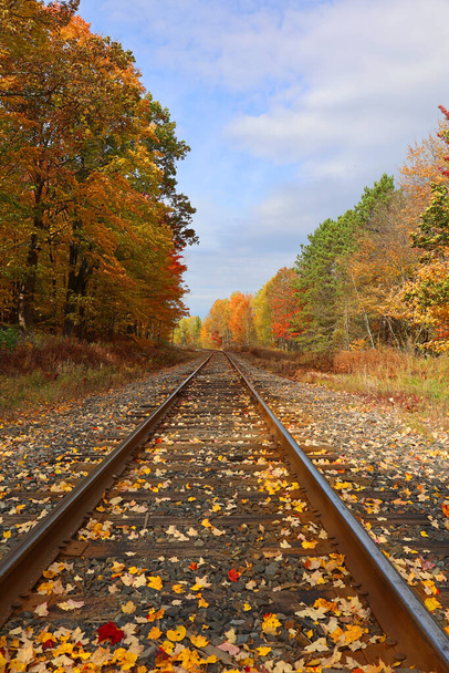 Tracks in fall landscape eastern townships Bromont Quebec province Canada - Zdjęcie, obraz