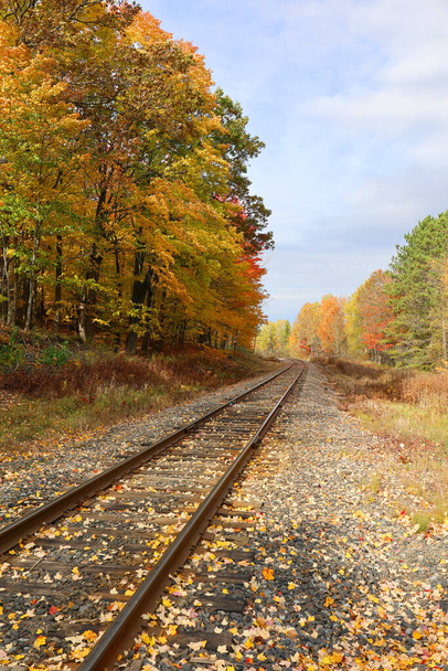 秋の風景の中にトラック東部の郷ブロモントケベック州カナダ - 写真・画像