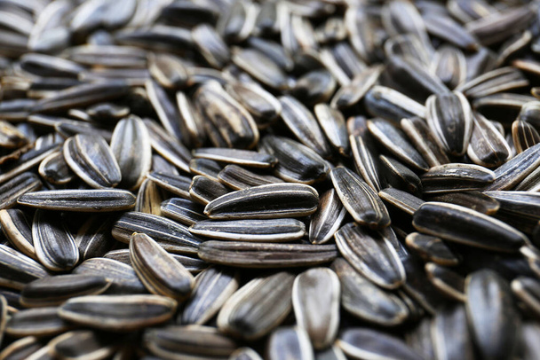 Pile of sunflower seeds as background, closeup - Photo, Image