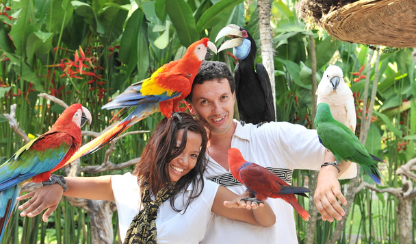 Jong (echt) paar met tropische vogels - Foto, afbeelding