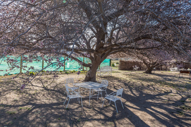 SUTHERLAND, SOUTH AFRICA - SEP 3, 2022: Resting area at the end of lovers walk at Sterland Caravan Park in Sutherland in the Northern Cape Province - Φωτογραφία, εικόνα