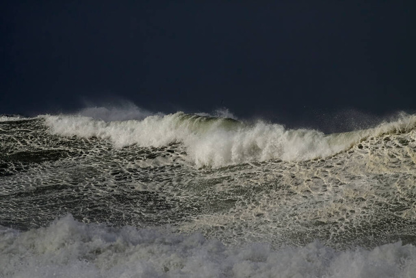 Grosse vague de tempête. Côte nord portugaise. - Photo, image