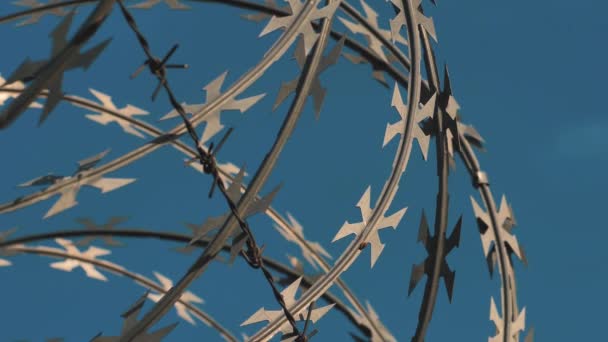 Szögesdrót kerítés. Határfal országok között. Szögesdrót kerítés a börtön körül. Országok közötti konfliktus. - Felvétel, videó