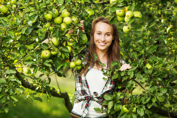 Woman in apple tree garden - Photo, Image