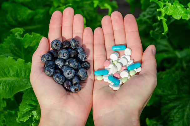 Fresh blueberries and white pills lie in open male palms on a green background. The topic of choosing healthy food or diseases and treatment - Foto, immagini