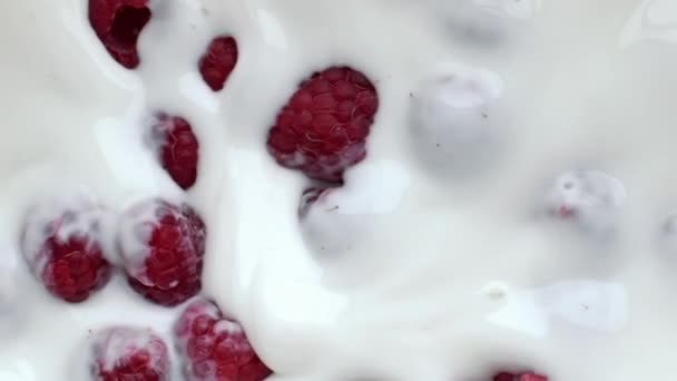 ピンクのラズベリーのフローティングデザートが閉じます。夏の果実の白い表面ミルクヨーグルト。ビーガンミルクシェイクカクテルの朝の朝食は遅い動きを移動します。タンパク質食品マクロ。健康的な食事のコンセプト - 映像、動画